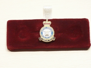 RAF Support Command lapel pin - Click Image to Close